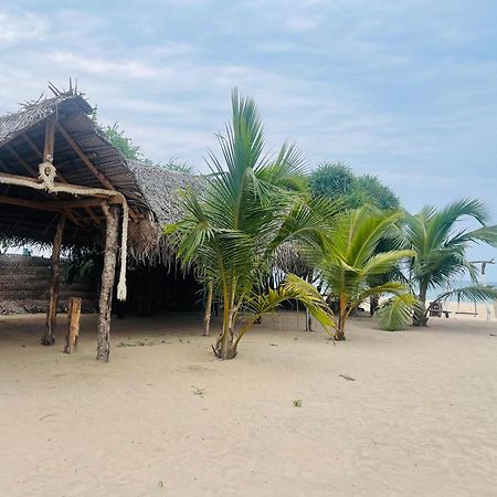 Surfing Beach Nilaveli Trincomalee Ngoại thất bức ảnh